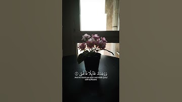 سورة :الضحى قراءة القرآن الكريم القارئ ياسر الدوسري #yasseraldossary #ياسر_الدوسري #القرآن_الكريم
