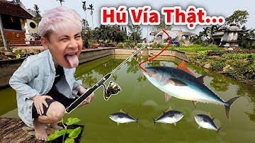 Hậu Cáo - Trổ Tài Câu Được Đàn Cá Rô Khủng Cực Chất
