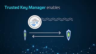 Securing Smart Meters with Trusted Key Manager Platform - Thales