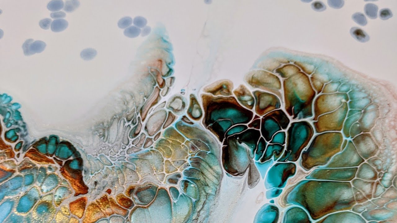 58 A Pearl Pour Sheleeart Bloom Swipe Combo Abstract Acrylic Pour Experiment Youtube