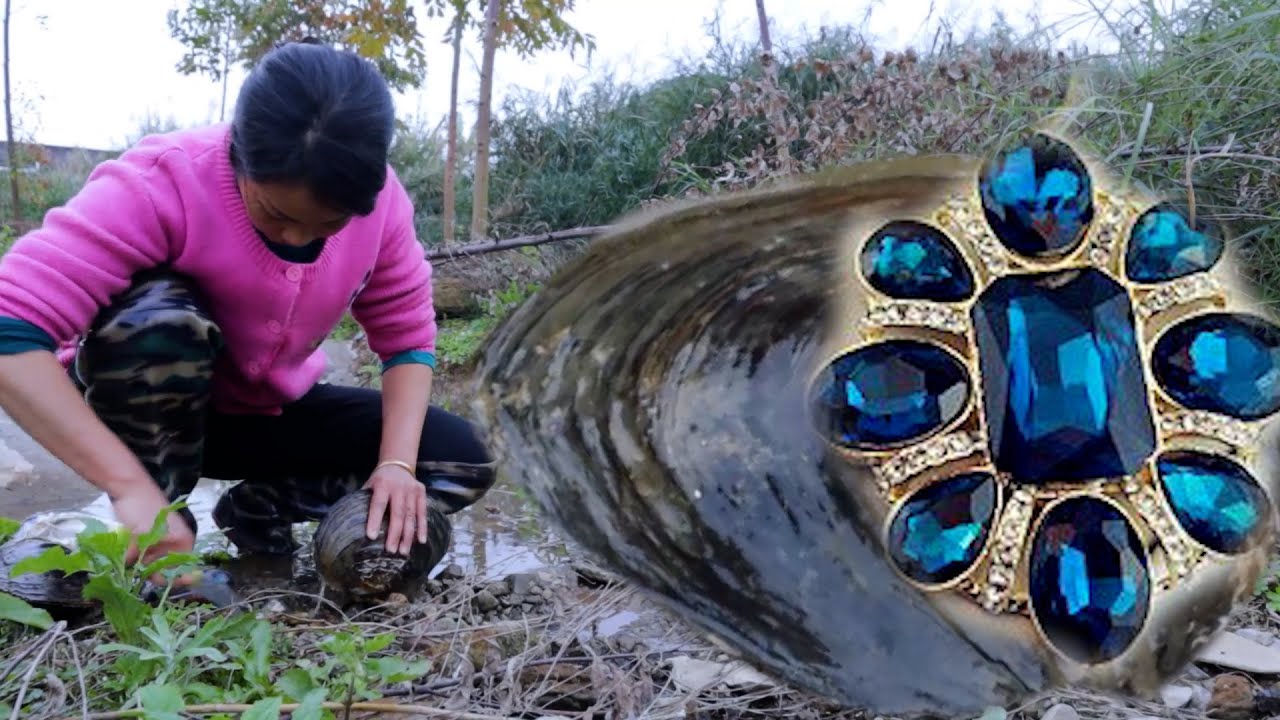 The Wealth of Ancient Mutant Shells: She Unlocked Rare Pearls in Mysterious Clams