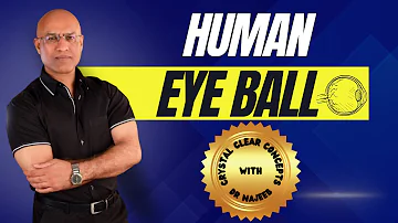 Anatomy of The Human Eye Ball | Structure & Function | Cornea & Sclera