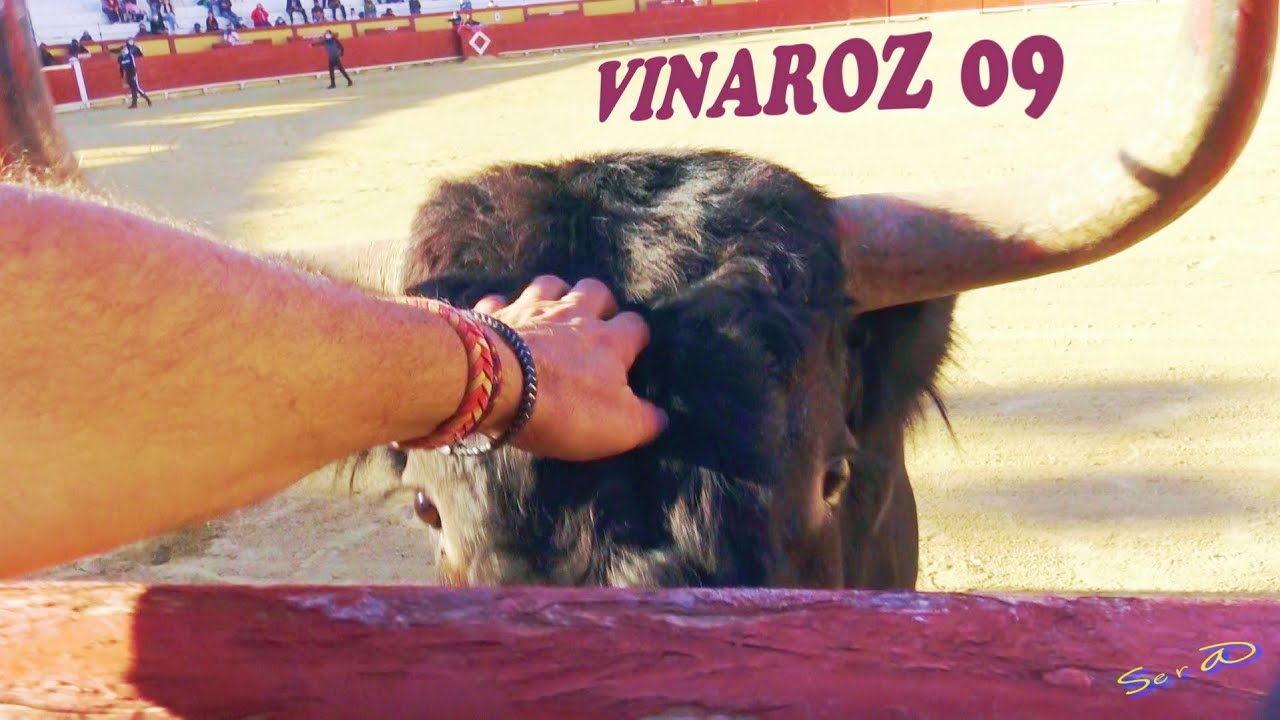 🟢2020 VINAROZ 09 ◾ INTEGRO  Ganadería Gregorio de Jesús