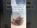 Coca-Cola jelly vs liquid nitrogen experiment#experiment #shortsviral #satisfying #shorts #ytshorts