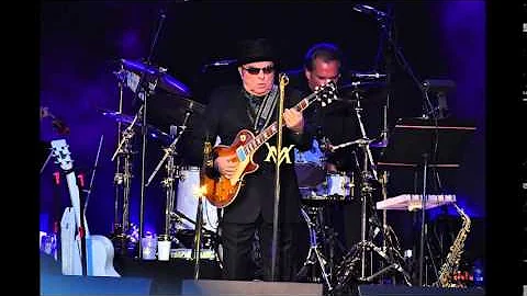 Van Morrison - And The Healing Has Begun
