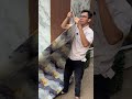 Wallpaper dinding