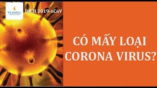 Virus Corona 2019 (Covid 19, Sars Cov 2): Nguyên nhân & triệu