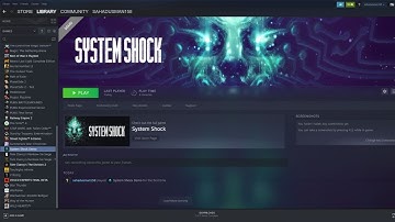 How to Fix System Shock Crashing at Startup,Won