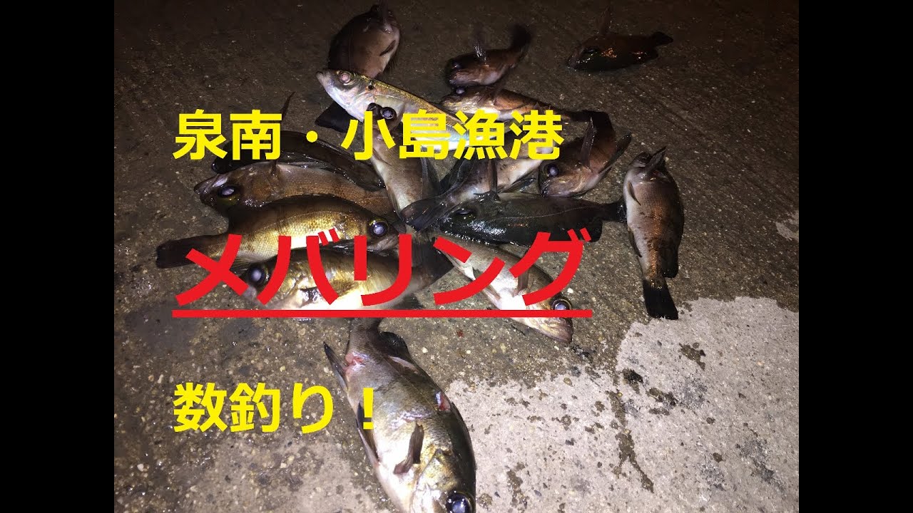 16 1月1日 大阪 小島漁港でメバリング 数釣り プロトワームテスト Youtube 16 1月1日 大阪 小島漁港でメバリング 数釣り プロトワームテスト Youtube