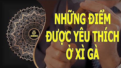 Điều gì ở x.ì g.à khiến nhiều người yêu thích | Ambe