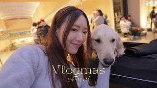 ☃VLOGMAS DAY0為什麼韓國男友少出鏡了提早育兒訓練單拖帶大狗週末出遊原來這麼累 幸福感不需要很昂貴の4個家居小改造✨ 我的新收音咪/Black Friday囤的貨金鈴