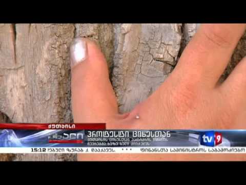 ახალი 3 | პროტესტი ციხესთან | 05.06.13