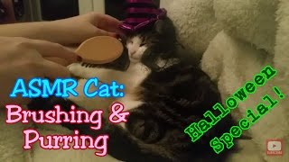 *Halloween Special* | ASMR Cat: Brushing and Purring (#3) (no talking) by ASMR Cat Sounds 992 views 7 years ago 10 minutes, 1 second
