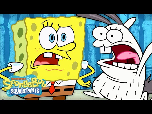 SpongeBob and Patrick HUNT a Sea Bunny! 🐰 | Bunny Hunt Full Scene | SpongeBob class=