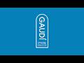 Gaudí: Windows on the Future(CAT)