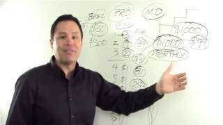 Lead System Network Compensation Plan