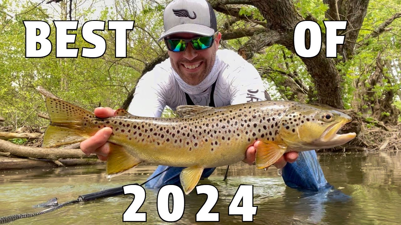 Fish Hawk | Best of 2024