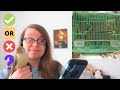 Reacting to My Subscribers’ Bird Cages! #2 | BirdNerdSophie