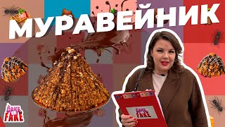 Вашурина прячет дырку или в поисках муравейника в Москве