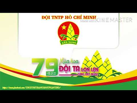 Kỉ niệm 79 năm ngày thành lập Đội TNTP Hồ Chí Minh 15/5/1941