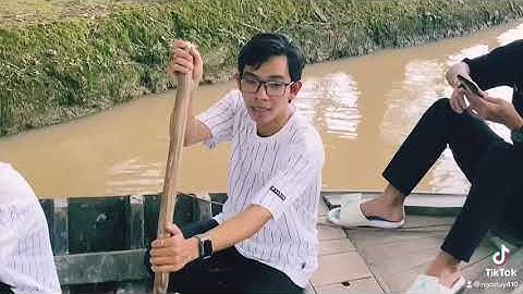 Vườn dừa Tân Lộc