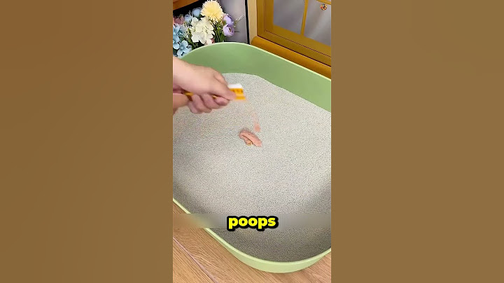 This Sand Turns Cat Pee and Poop Into Stone!
