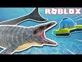 Name This Game Roblox Shark Bait