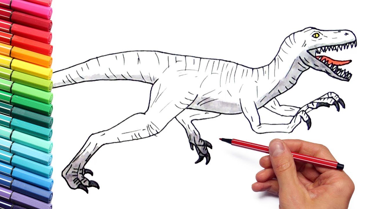 Drawing and Coloring Velociraptor From Jurassic World - Dinosaurs Color ...