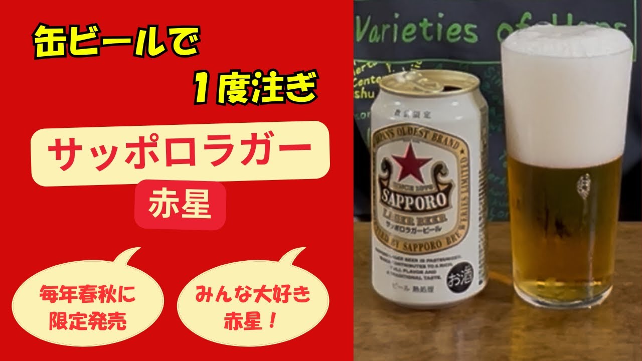 麦酒大学】缶ビールで注ぎ分け サッポロラガービール「赤星」編 - YouTube