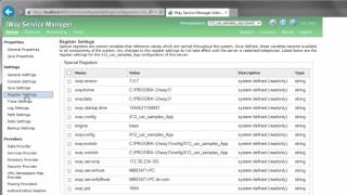 iWay e-Business Lab 1: Step 4, Setting Special Registers in the iSM Administration Console