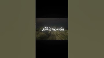 ارح سمعك🤍🤍#قران #محمد_اللحيدان #سوره_الانبياء #اكتب_شي_توجر_عليه #ذكر   fyp #اكسبلور #لايك #ذكر