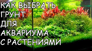 КАК ВЫБРАТЬ ГРУНТ ДЛЯ АКВАРИУМА С РАСТЕНИЯМИ