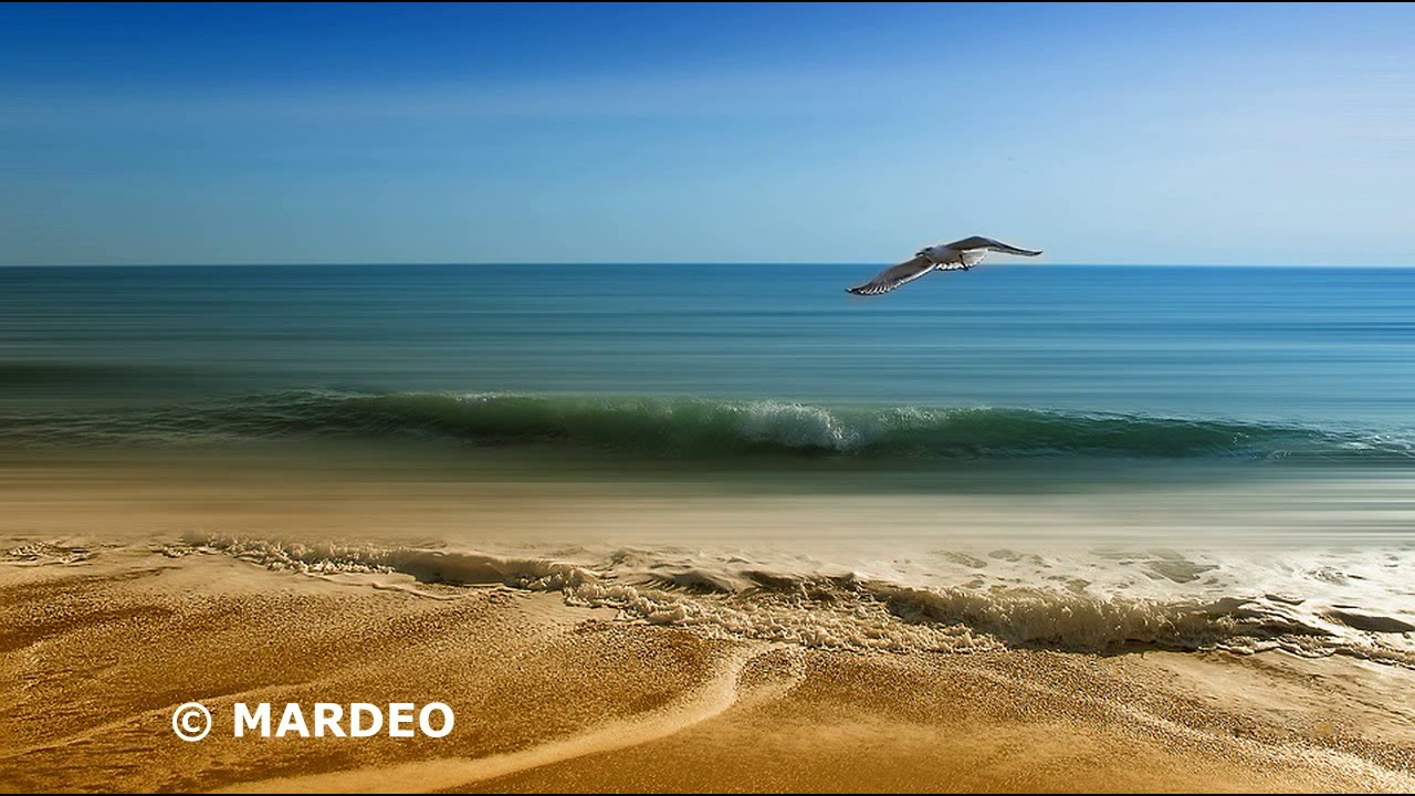 Tableau Déco 5 Pièces Sur Toile - Thème Plage, Mer, Sable, Vagues, Mouettes - Encadré