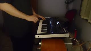 Roland Jupiter Xm - Spontanius Inventus 8