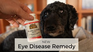 Quercetin for Eye Disease in Dogs