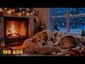 Calming Music for Dogs 🐾 3 Hours Dog Sleep Music | Dog Relaxation & Separation Anxiety