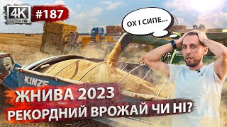 Жнива 2023 🔥 Молотимо пшеницю 🌾 Тюкування соломи. Огляд кукурудзи по No-Till