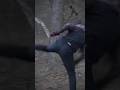 Shara Bullet Magomedov strength | UFC | MMA Edits #ufc #ytshorts #mmaedits #short
