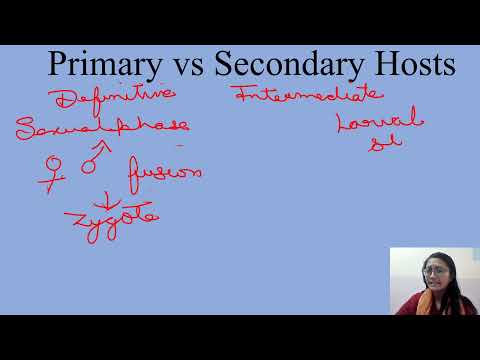 What Is Secondary Host