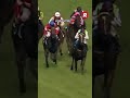 When Snitzel defeated the likes of Takeover Target & Miss Andretti in the 2006 Oakleigh Plate. Vale.