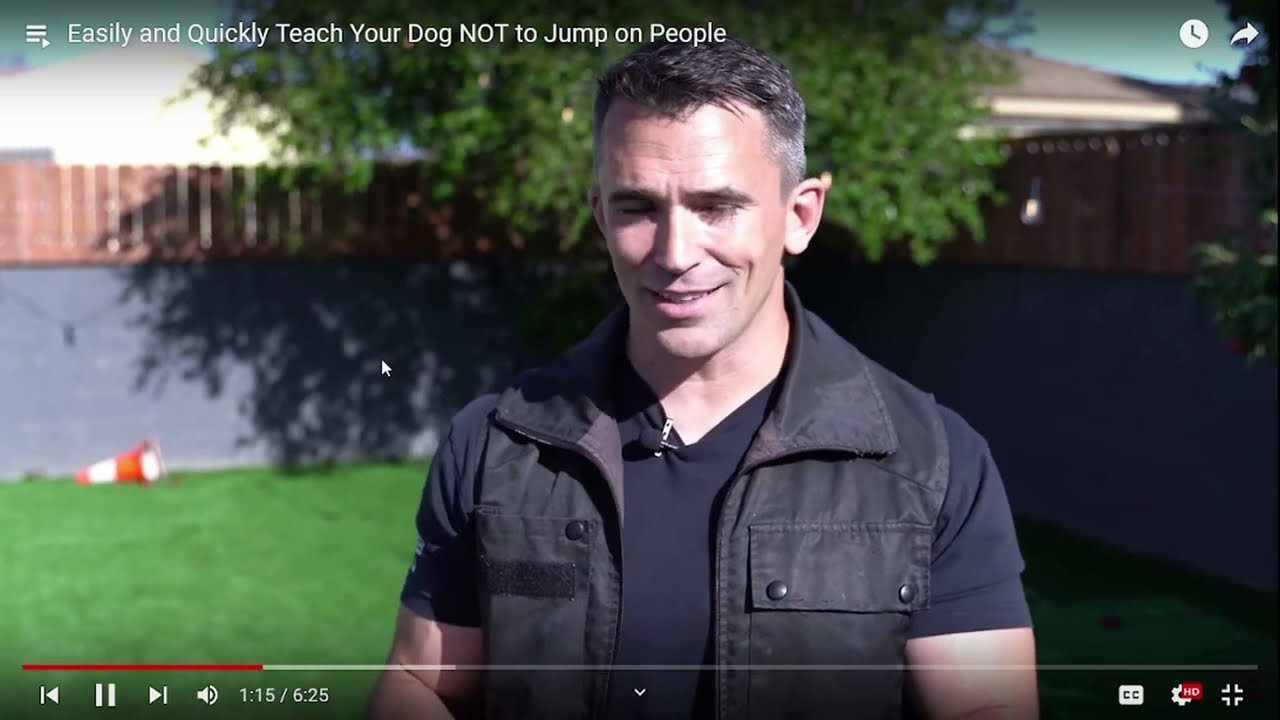 My Thoughts On Nate Shoemer - Dog Trainer Reviews