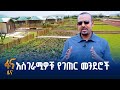 ሞዴል የገጠር መንደሮች