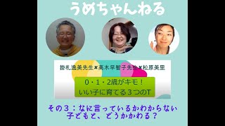 【うめちゃんねる 】実践２なに言っているかわからない子どもと、どうかかわる？「0・1・2歳がキモ！いい子に育てる３つのT」～その３