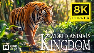 8K Mysterious jungle king🐾Discover the footprints of the jungle king with Cinematic Sound