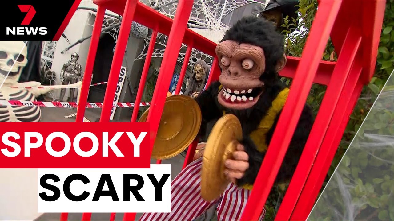 Sydney streets come alive for Halloween in 2024 | 7NEWS