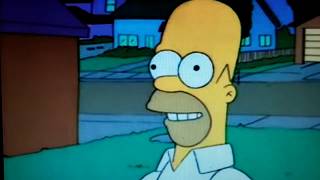 Los Simpsons - Homero ama a Flanders - Terminator