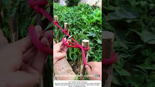 Tying Strong Fence Knots – Rope Lashing for Posts