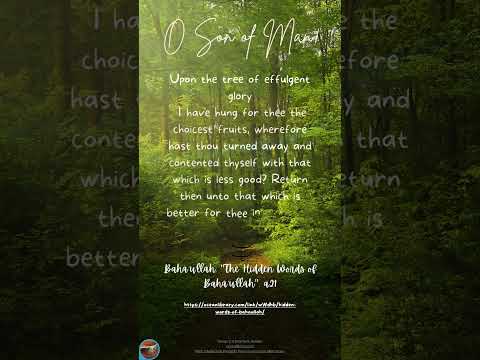 Bahá'í Explorations