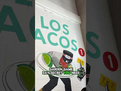 The Best Tacos in NYC By Madison Square Garden nyc