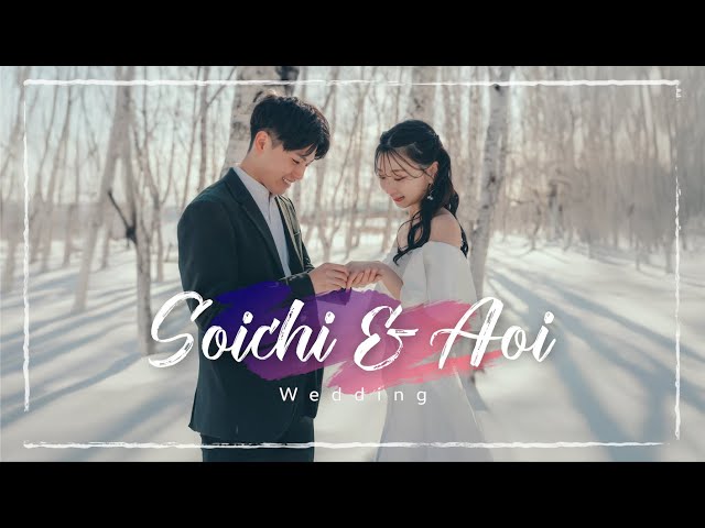 プロフィールムービー